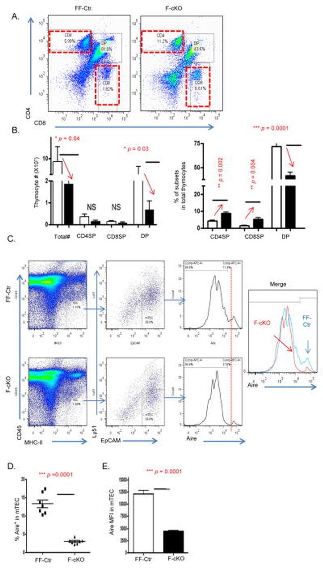 AIRE Antibody in Flow Cytometry (Flow)