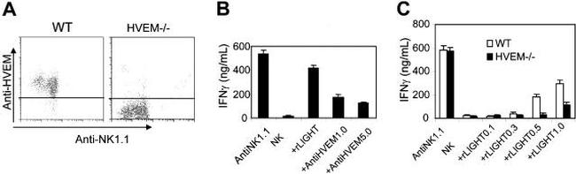 CD270 (HVEM) Antibody in Flow Cytometry (Flow)