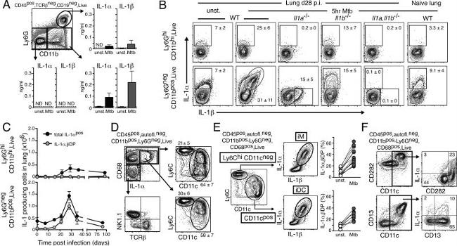 IL-1 alpha Antibody in Flow Cytometry (Flow)