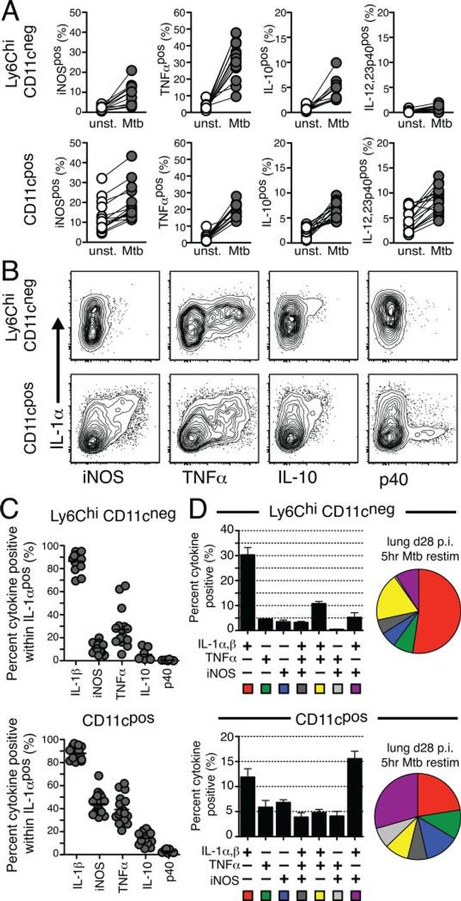 IL-1 alpha Antibody in Flow Cytometry (Flow)