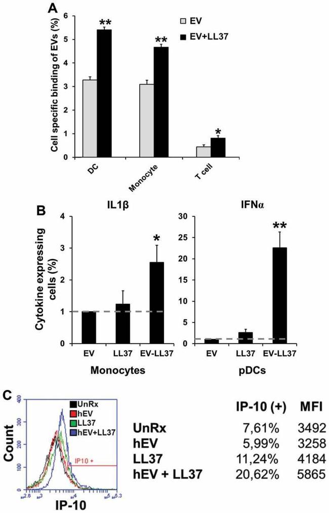 IL-1 beta Antibody in Flow Cytometry (Flow)