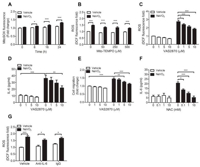 IL-6 Antibody in ELISA (ELISA)