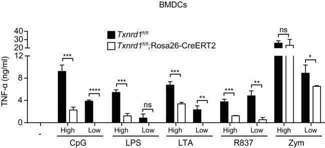 TNF alpha Antibody in ELISA (ELISA)