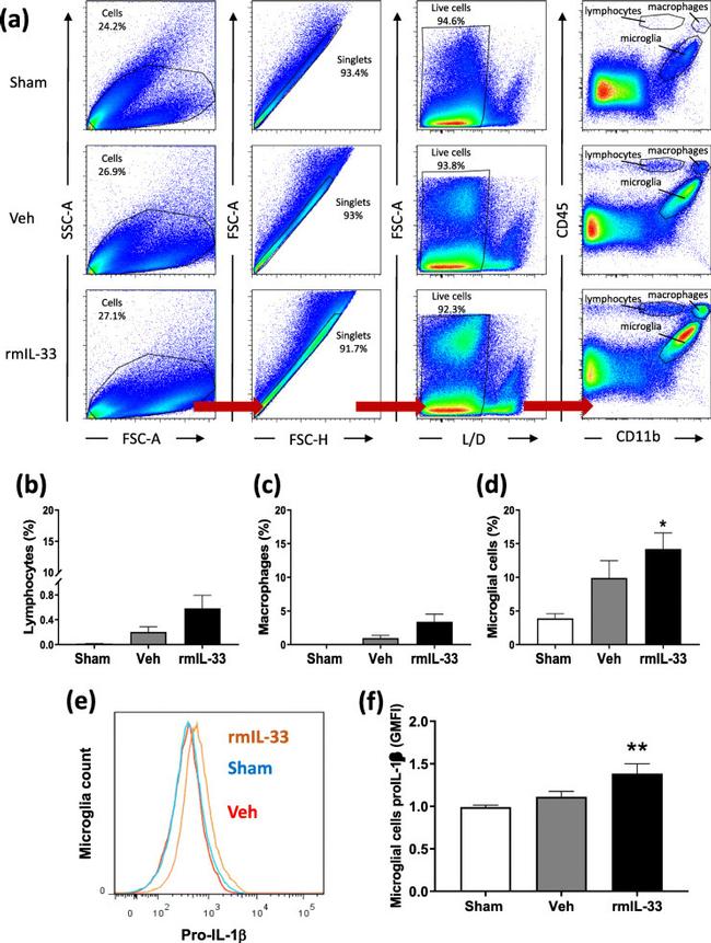 IL-1 beta (Pro-form) Antibody in Flow Cytometry (Flow)