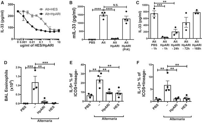 IL-13 Antibody in Flow Cytometry (Flow)