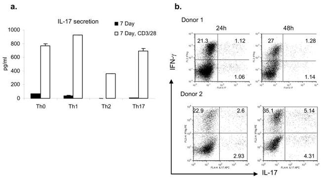 IL-17A Antibody in Flow Cytometry (Flow)