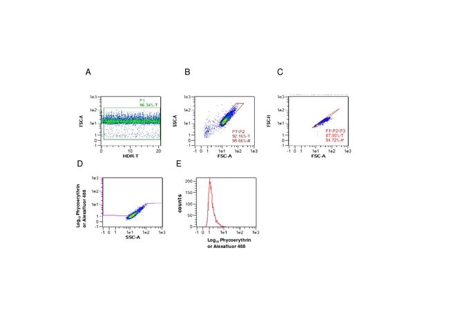 IL-17A Antibody in Flow Cytometry (Flow)