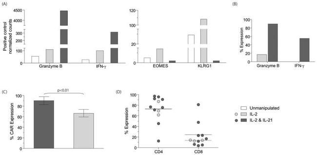 IL-21 Antibody in Flow Cytometry (Flow)