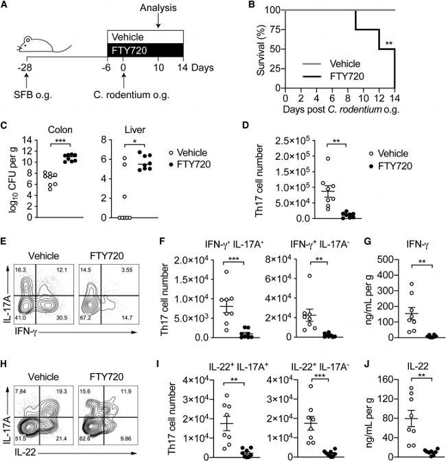 IL-22 Antibody in Flow Cytometry (Flow)