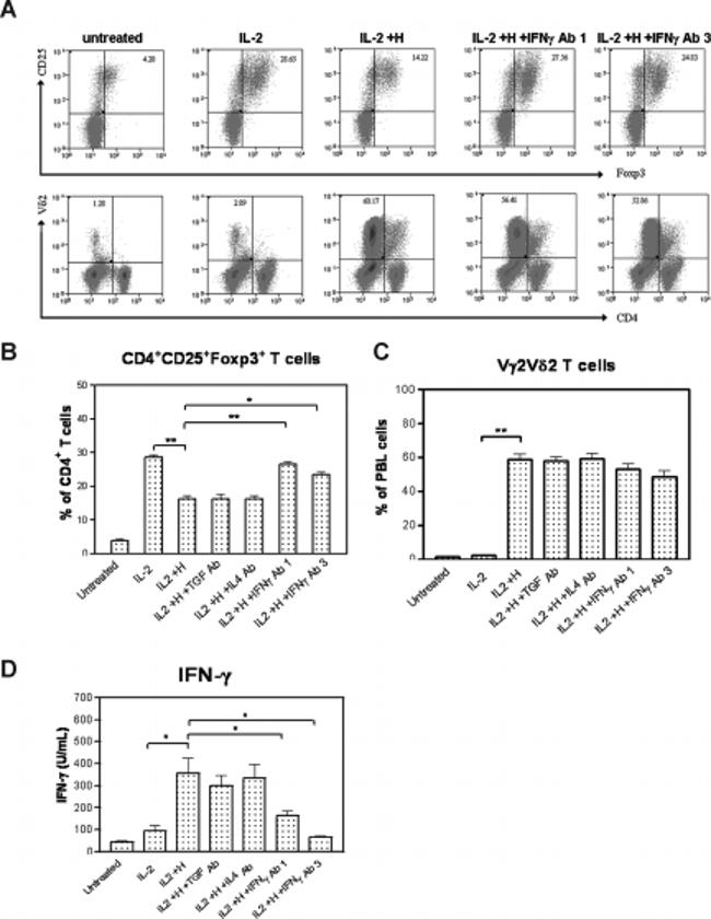 IFN gamma Antibody in Flow Cytometry (Flow)