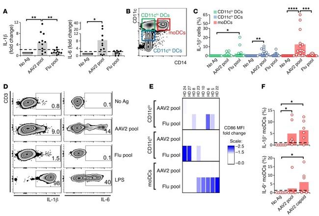 IL-6 Antibody in Flow Cytometry (Flow)