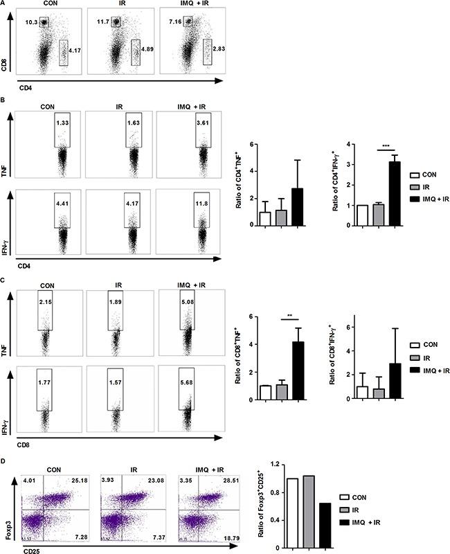 TNF alpha Antibody in Flow Cytometry (Flow)