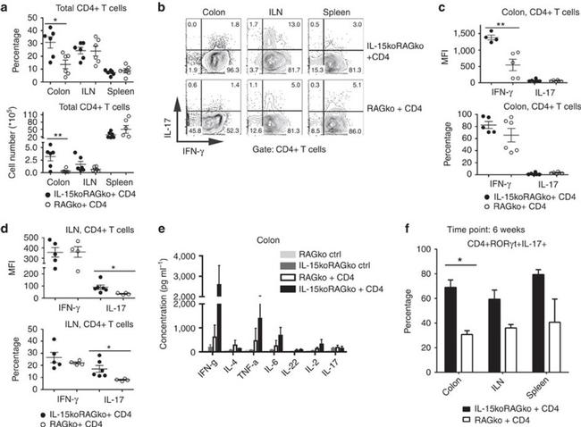 IFN gamma Antibody in Flow Cytometry (Flow)