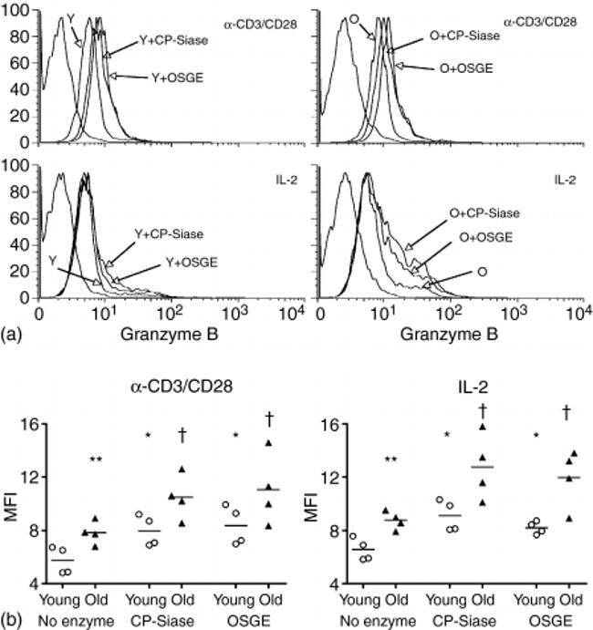 Granzyme B Antibody in Flow Cytometry (Flow)