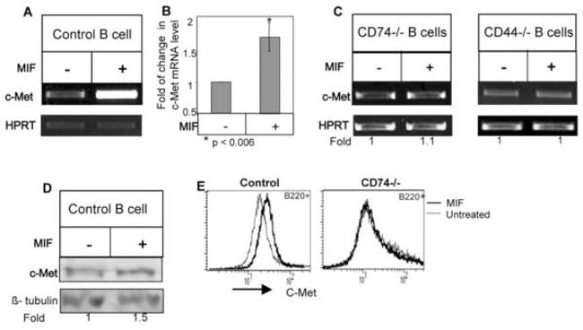 c-Met Antibody in Flow Cytometry (Flow)