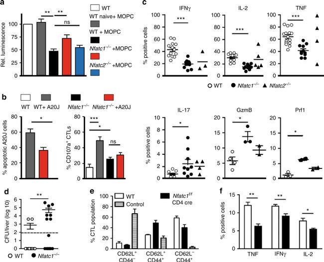 Granzyme B Antibody in Flow Cytometry (Flow)