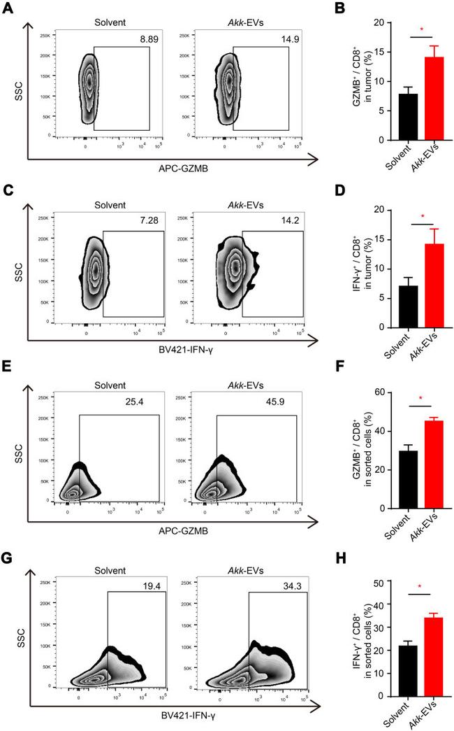 Granzyme B Antibody in Flow Cytometry (Flow)