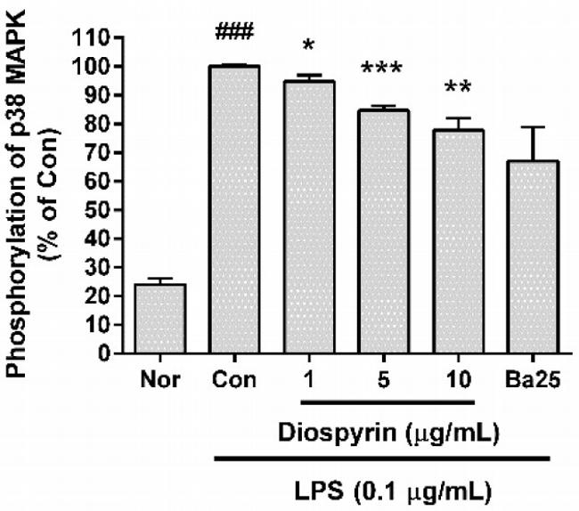 Phospho-p38 MAPK (Thr180, Tyr182) Antibody in Flow Cytometry (Flow)