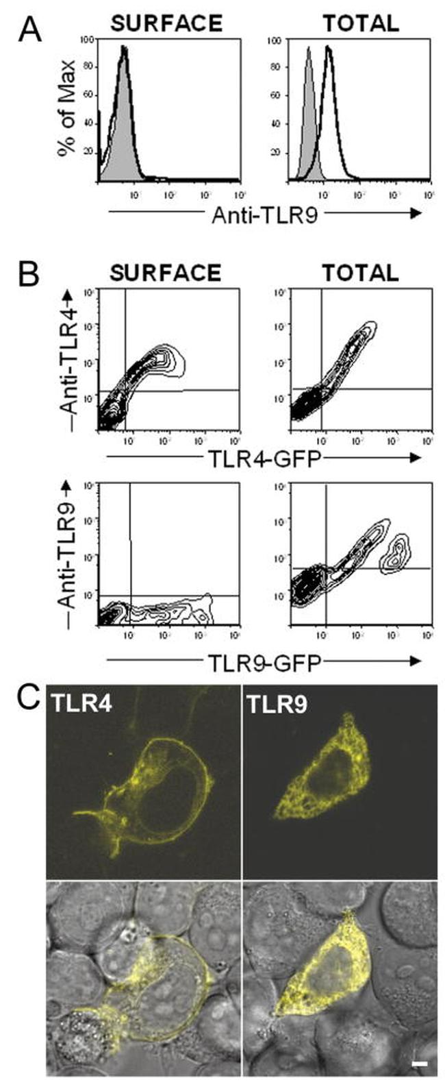 CD289 (TLR9) Antibody in Flow Cytometry (Flow)