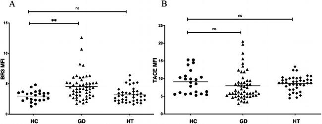 CD268 (BAFF Receptor) Antibody in Flow Cytometry (Flow)