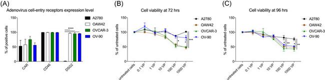 Desmoglein 2 Antibody in Flow Cytometry (Flow)