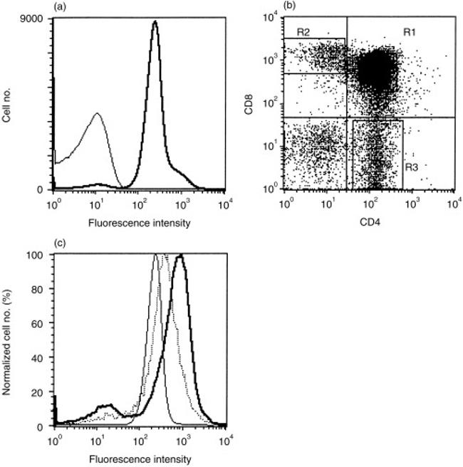 CD200 Antibody in Flow Cytometry (Flow)