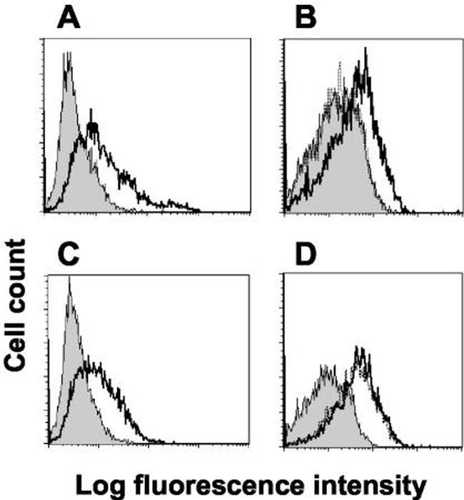 CD200 Antibody in Flow Cytometry (Flow)