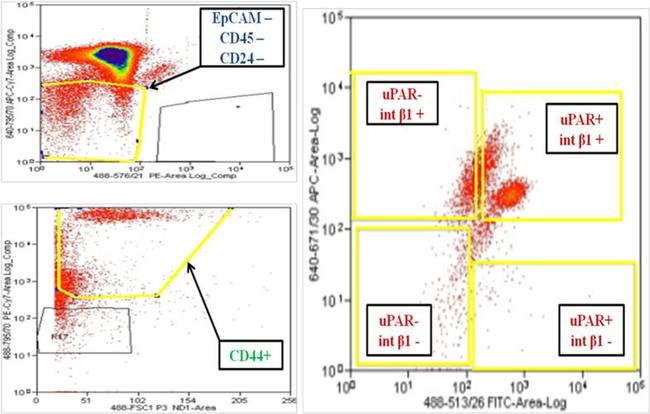 CD326 (EpCAM) Antibody in Flow Cytometry (Flow)