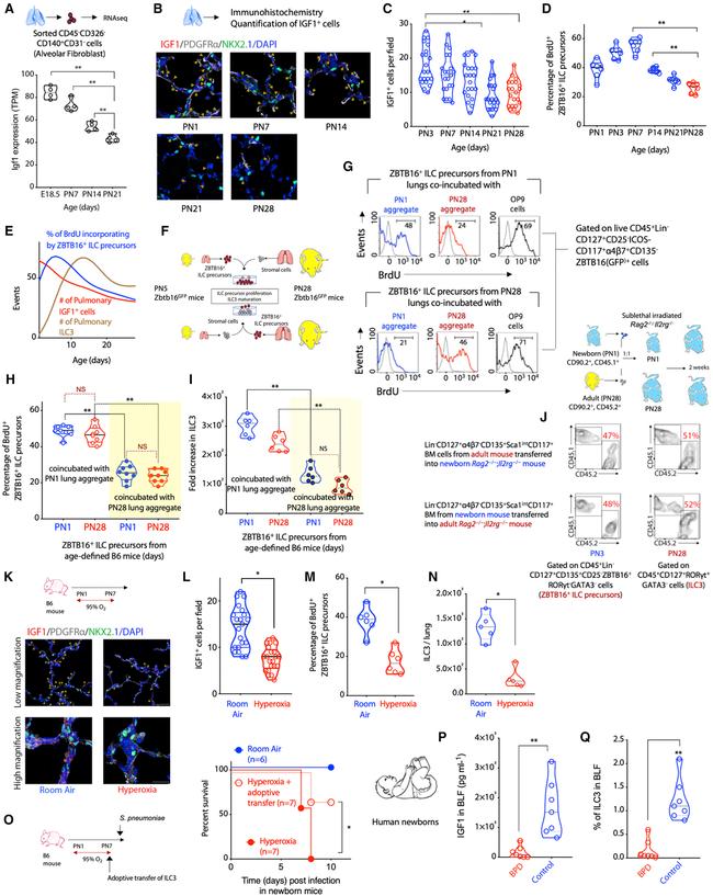 ID2 Antibody in Flow Cytometry (Flow)