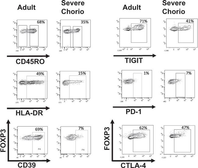 TIGIT Antibody in Flow Cytometry (Flow)