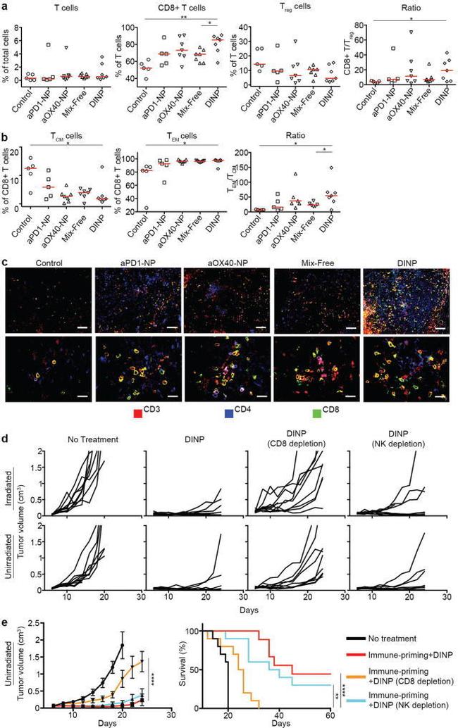 CD4 Antibody in Flow Cytometry (Flow)