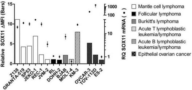 SOX11 Antibody in Flow Cytometry (Flow)