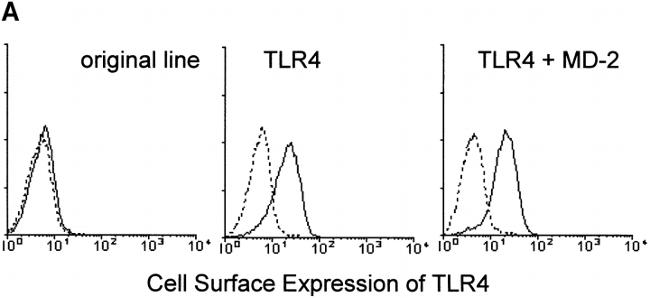 CD284 (TLR4) Antibody in Flow Cytometry (Flow)