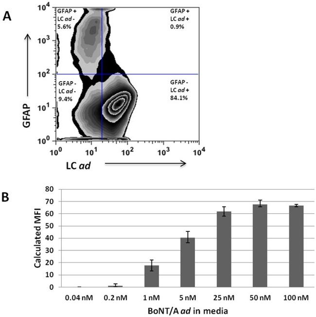 GFAP Antibody in Flow Cytometry (Flow)