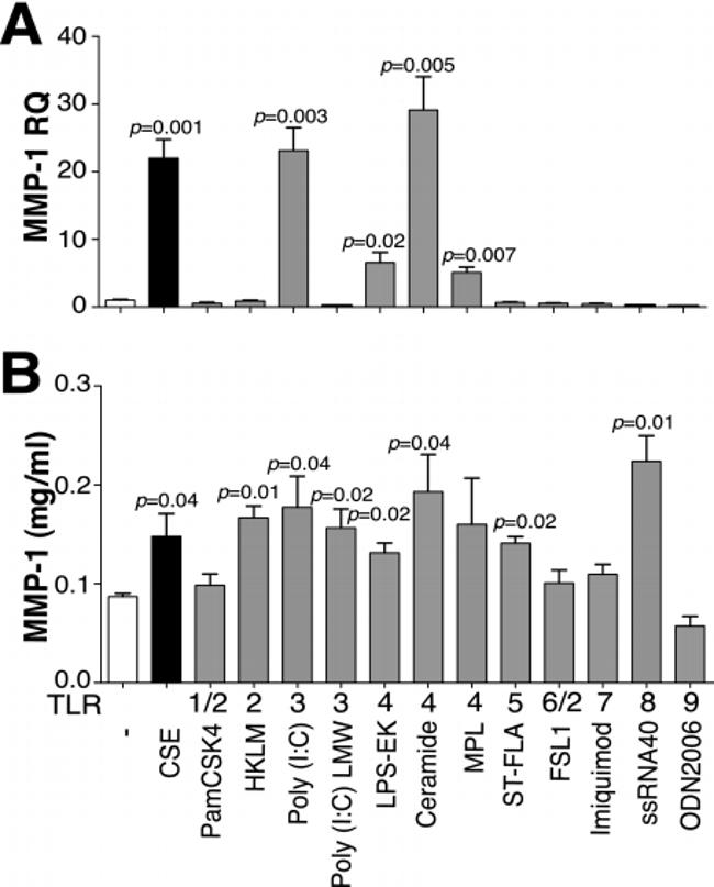 CD284 (TLR4) Antibody in ELISA (ELISA)