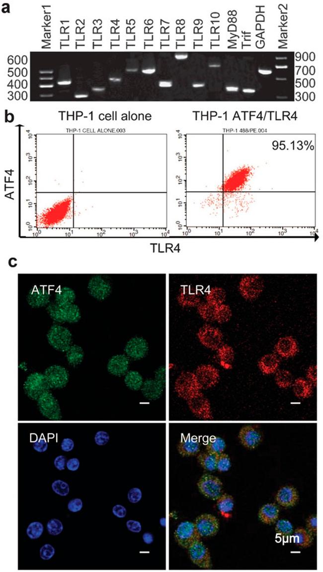 CD284 (TLR4) Antibody in Flow Cytometry (Flow)