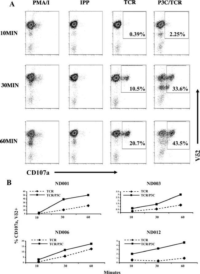 TCR gamma/delta Antibody in Flow Cytometry (Flow)