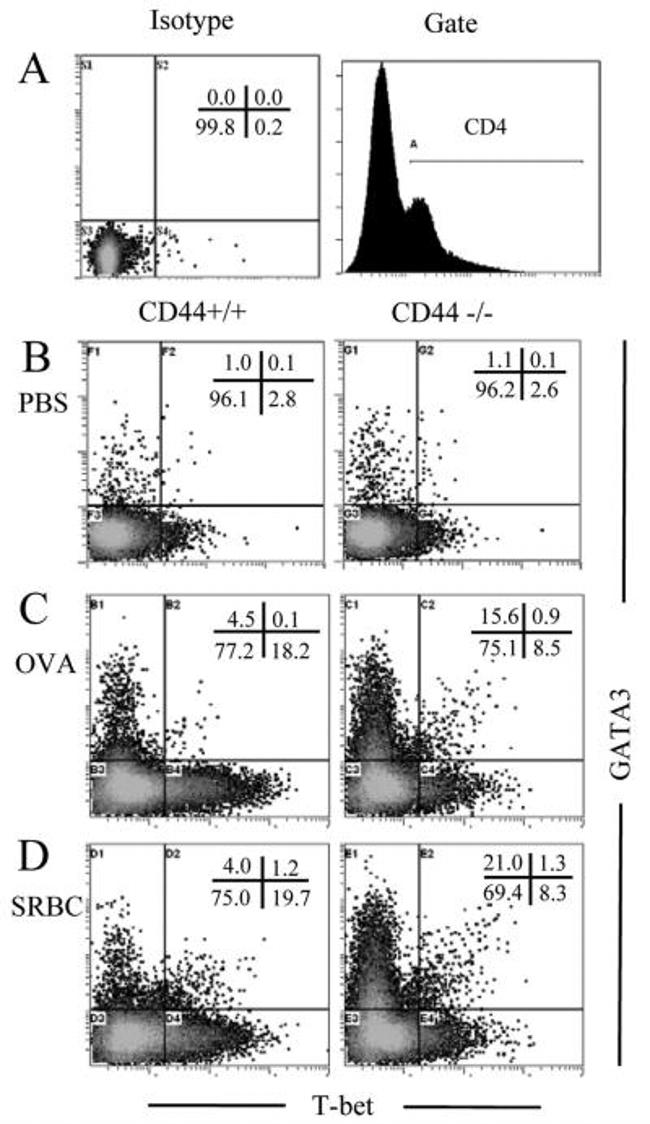 Gata-3 Antibody in Flow Cytometry (Flow)