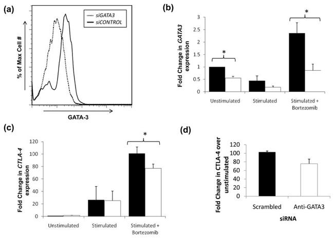 Gata-3 Antibody in Flow Cytometry (Flow)