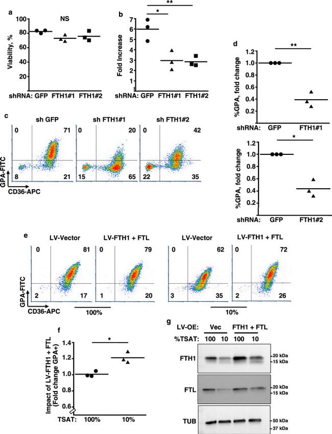 CD235a (Glycophorin A) Antibody in Flow Cytometry (Flow)