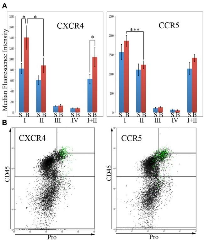 CD184 (CXCR4) Antibody in Flow Cytometry (Flow)