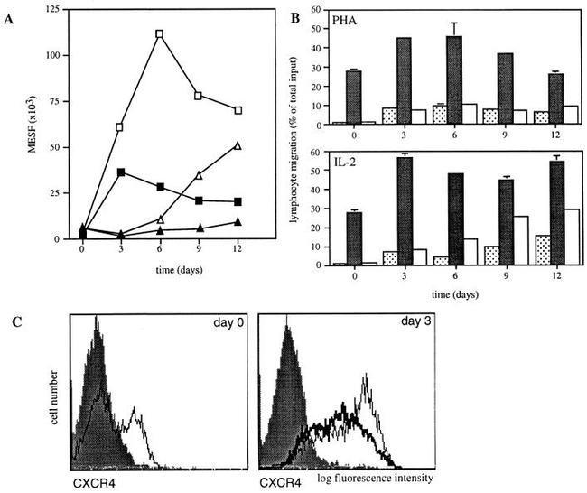 CD184 (CXCR4) Antibody in Flow Cytometry (Flow)