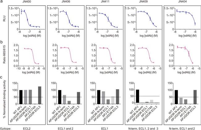 HA Tag Antibody in Flow Cytometry (Flow)