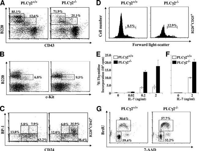 CD45R (B220) Antibody in Flow Cytometry (Flow)