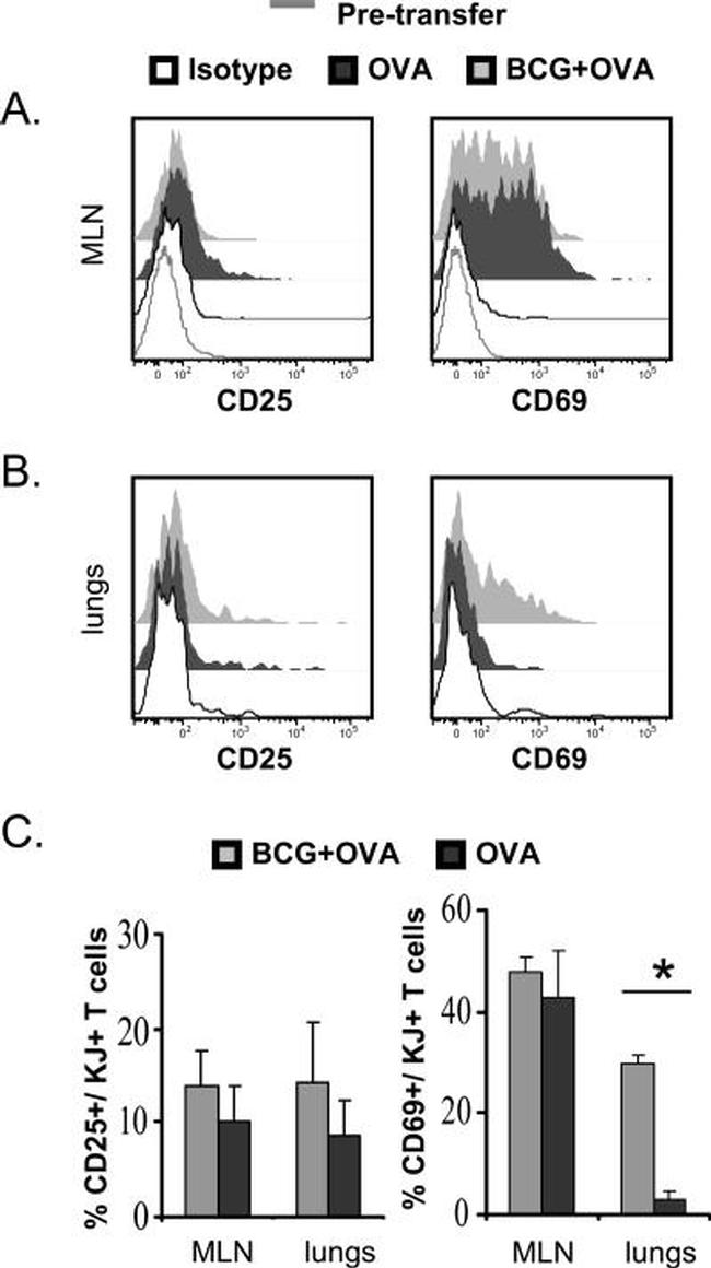 CD62L (L-Selectin) Antibody in Flow Cytometry (Flow)