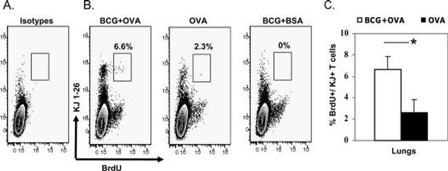 CD62L (L-Selectin) Antibody in Flow Cytometry (Flow)