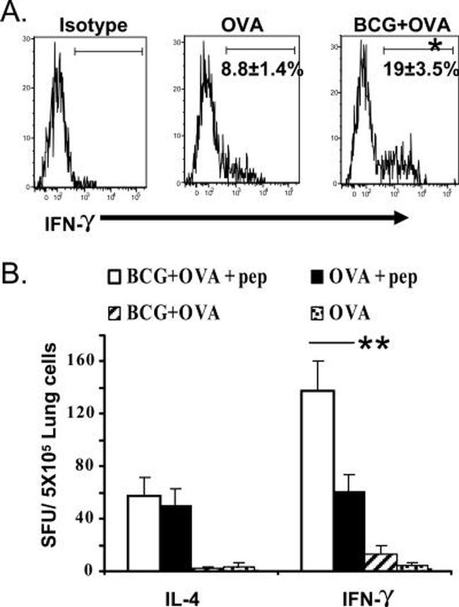 CD62L (L-Selectin) Antibody in Flow Cytometry (Flow)