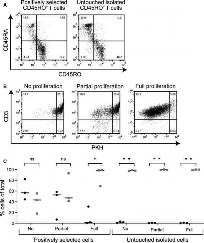 CD45RO Antibody in Flow Cytometry (Flow)