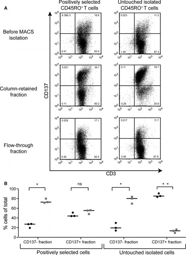 CD45RO Antibody in Flow Cytometry (Flow)