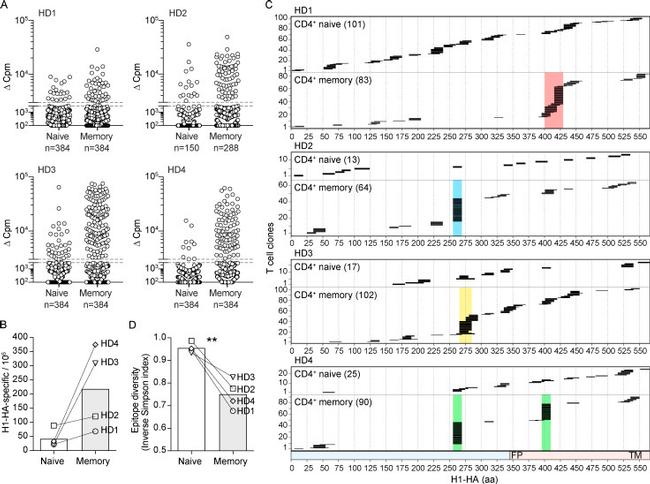 CD4 Antibody in Flow Cytometry (Flow)